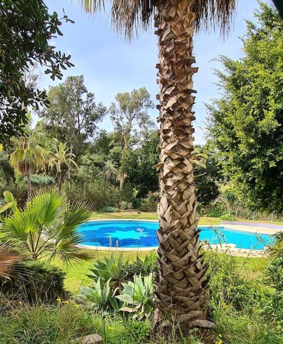 Soleado Apartamento Golf Y A 900 M De La Playa Benalmadena Ngoại thất bức ảnh