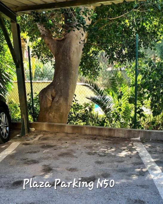 Soleado Apartamento Golf Y A 900 M De La Playa Benalmadena Ngoại thất bức ảnh